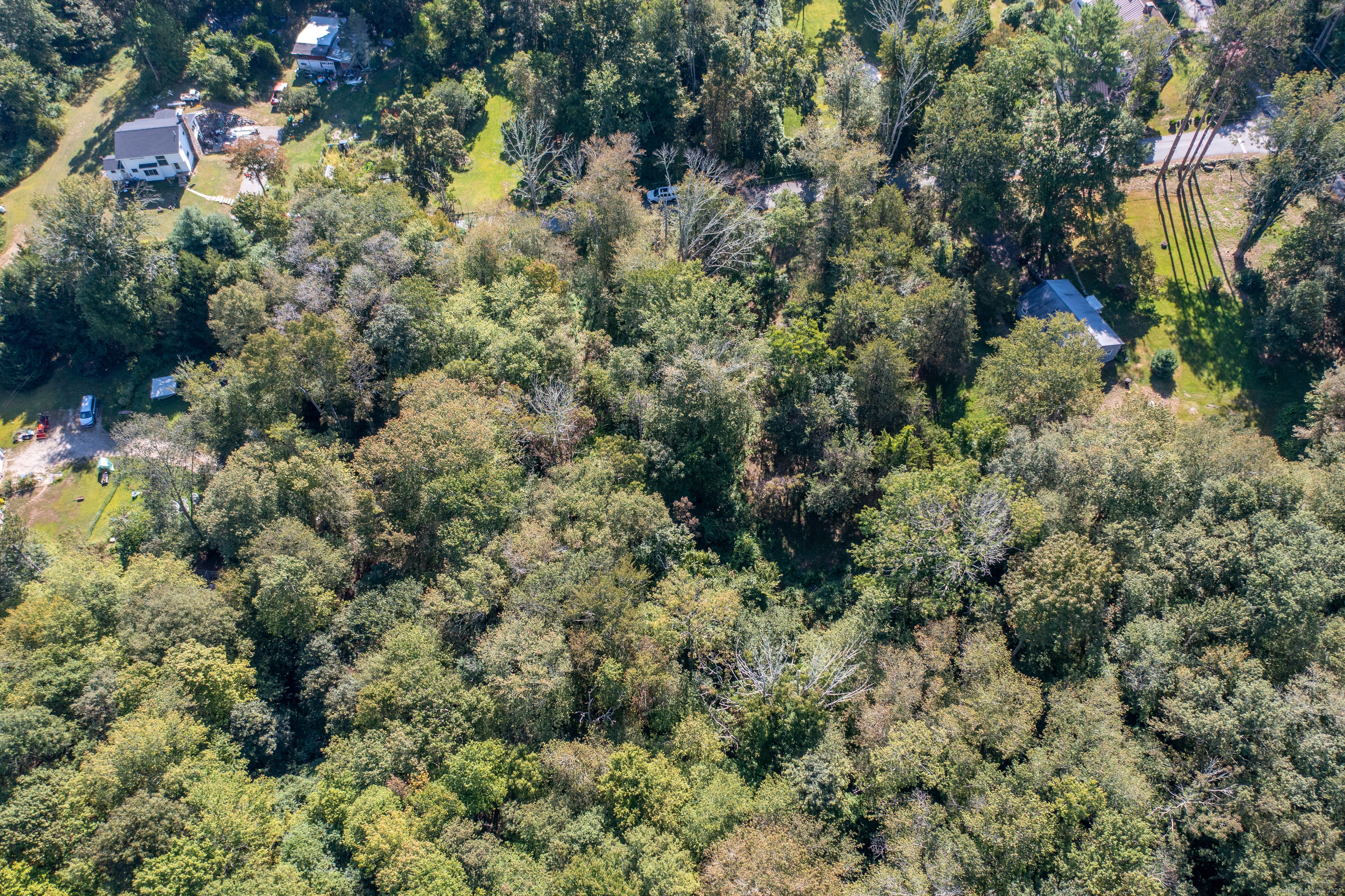 Bennett Pond Road Canterbury, CT 06331 - Photo 5 of 16 a view of a house with a tree
