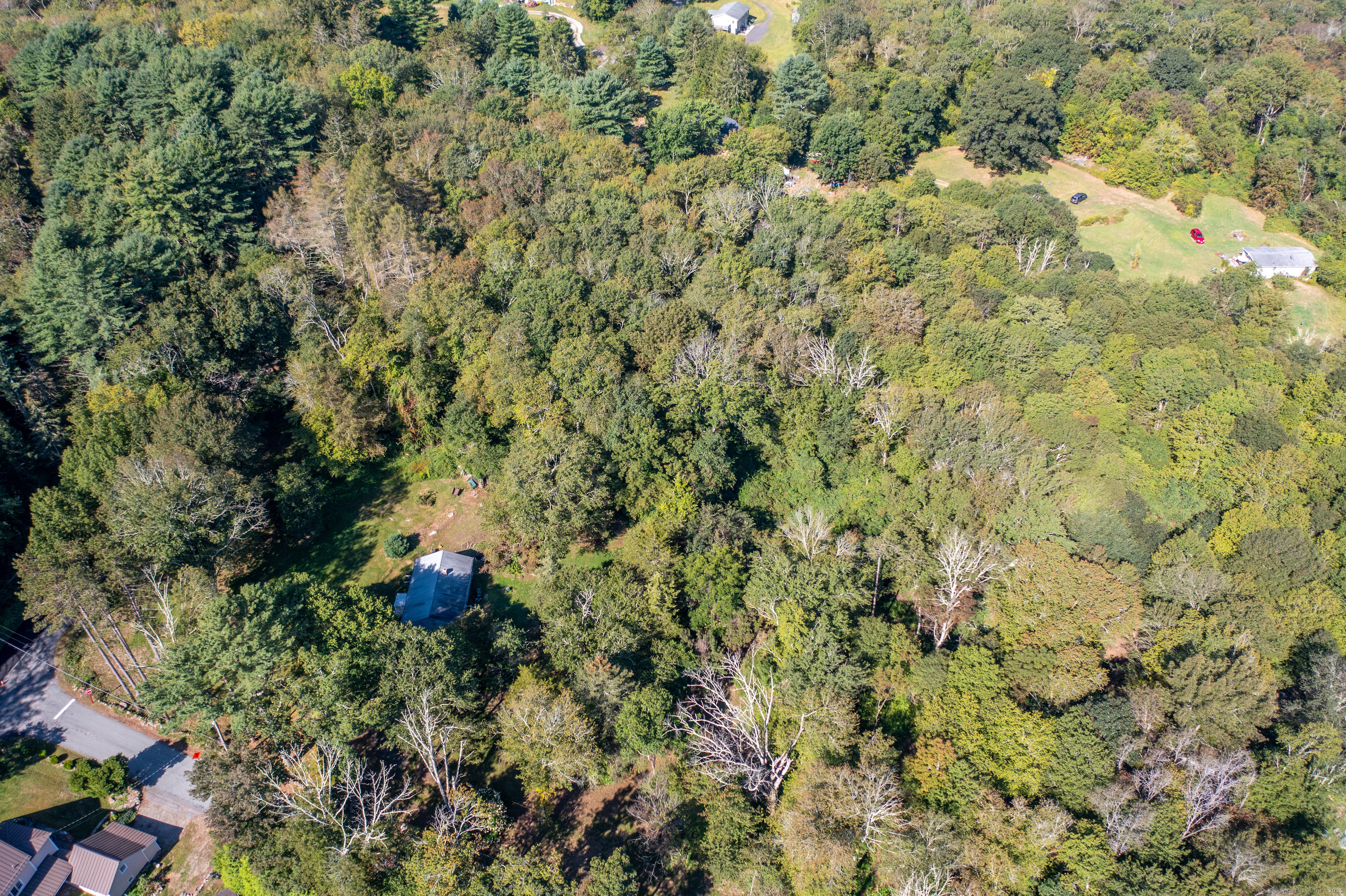 Bennett Pond Road Canterbury, CT 06331 - Photo 7 of 16 a view of a plants in a garden