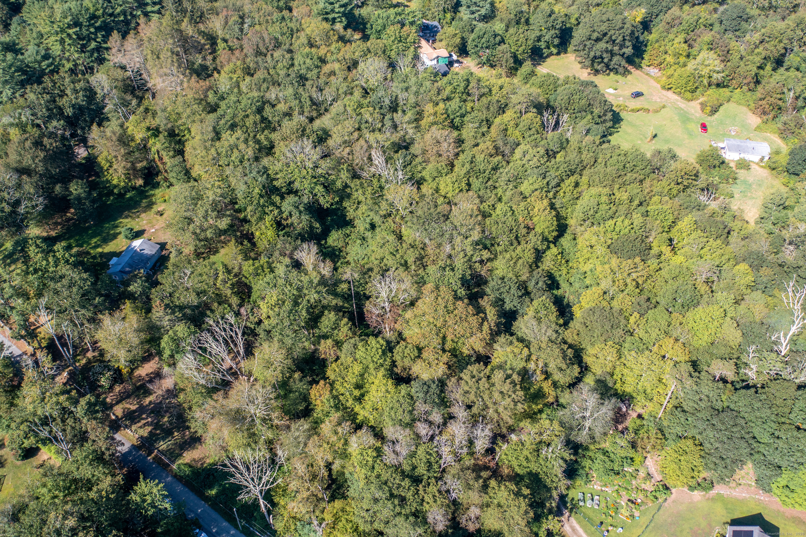 Bennett Pond Road Canterbury, CT 06331 - Photo 8 of 16 a view of a forest with a tree