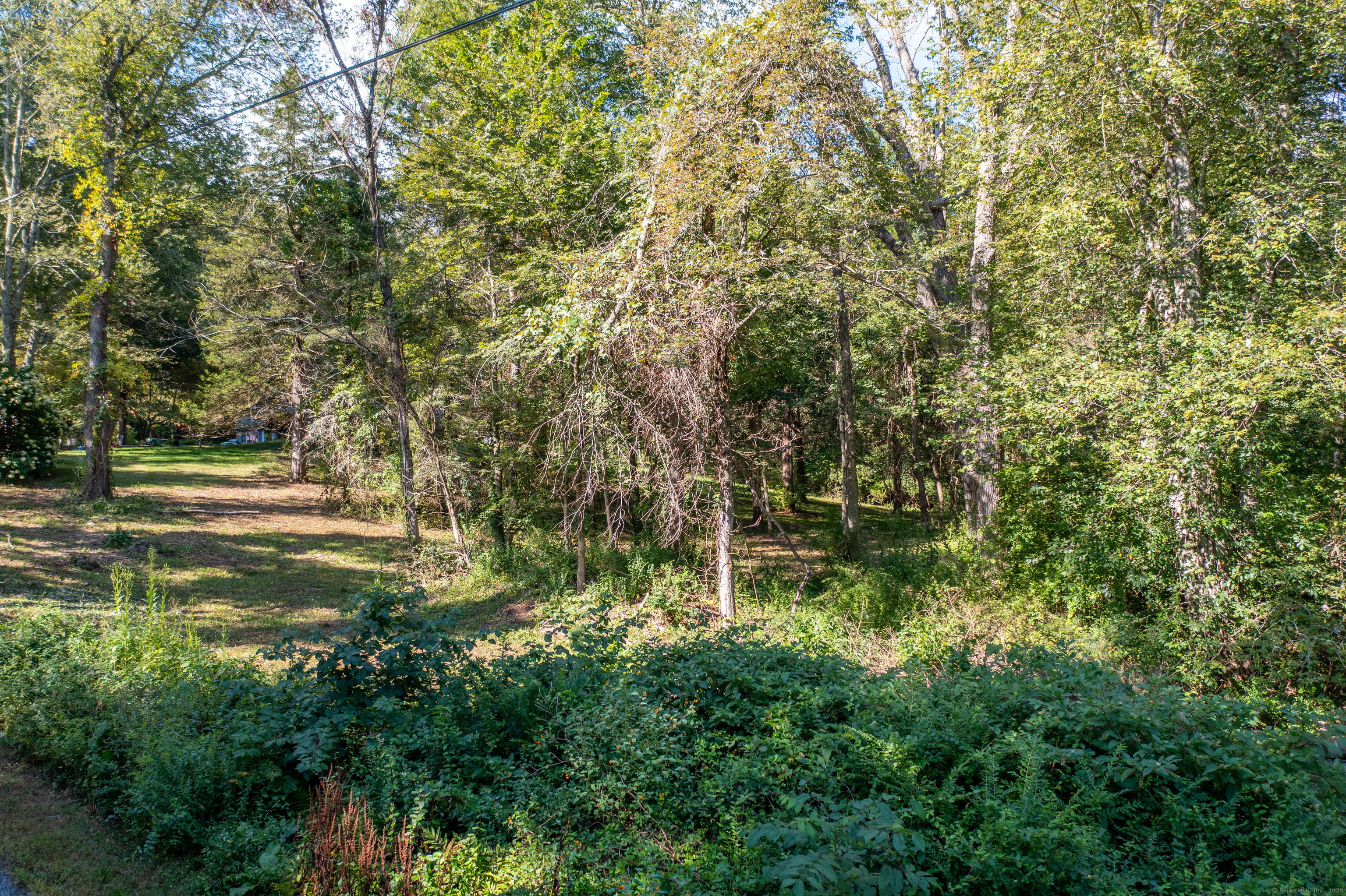 Bennett Pond Road Canterbury, CT 06331 - Photo 10 of 16 a view of outdoor space and yard