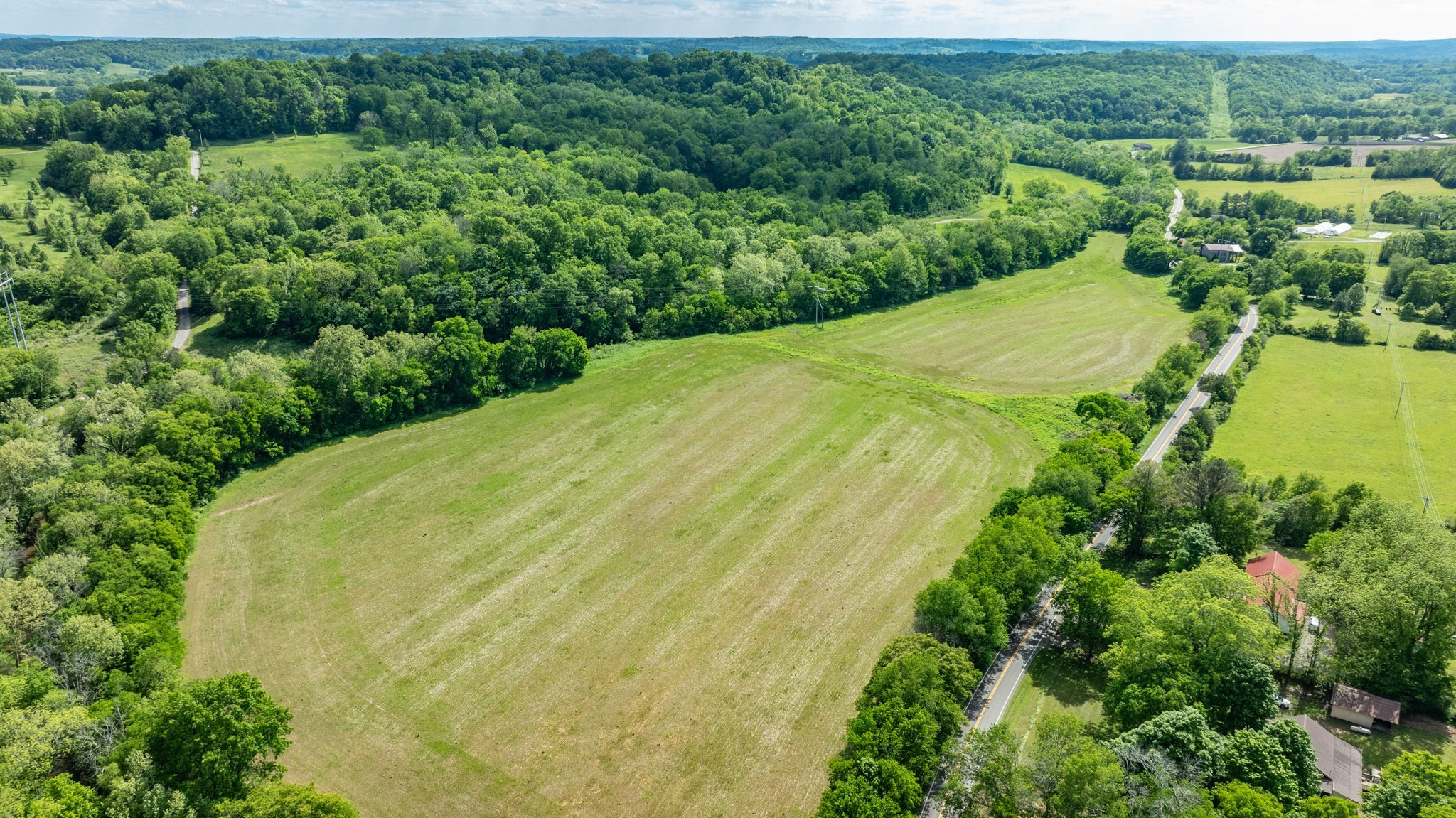 0 Snow Creek Road Santa Fe, TN 38482 - Photo 18 of 63 a view of a big yard with plants and large trees