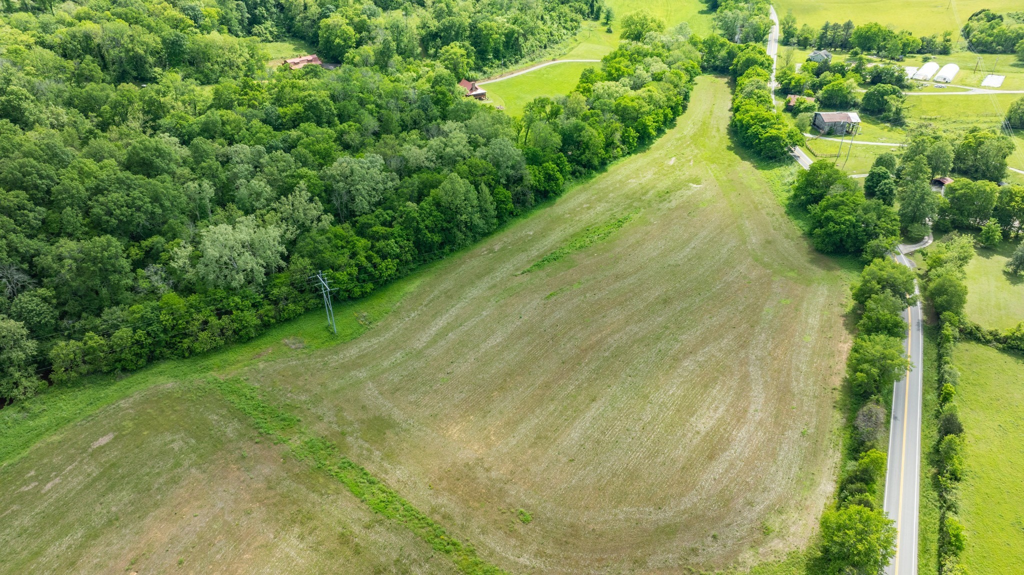 0 Snow Creek Road Santa Fe, TN 38482 - Photo 29 of 63 a view of a yard with plants