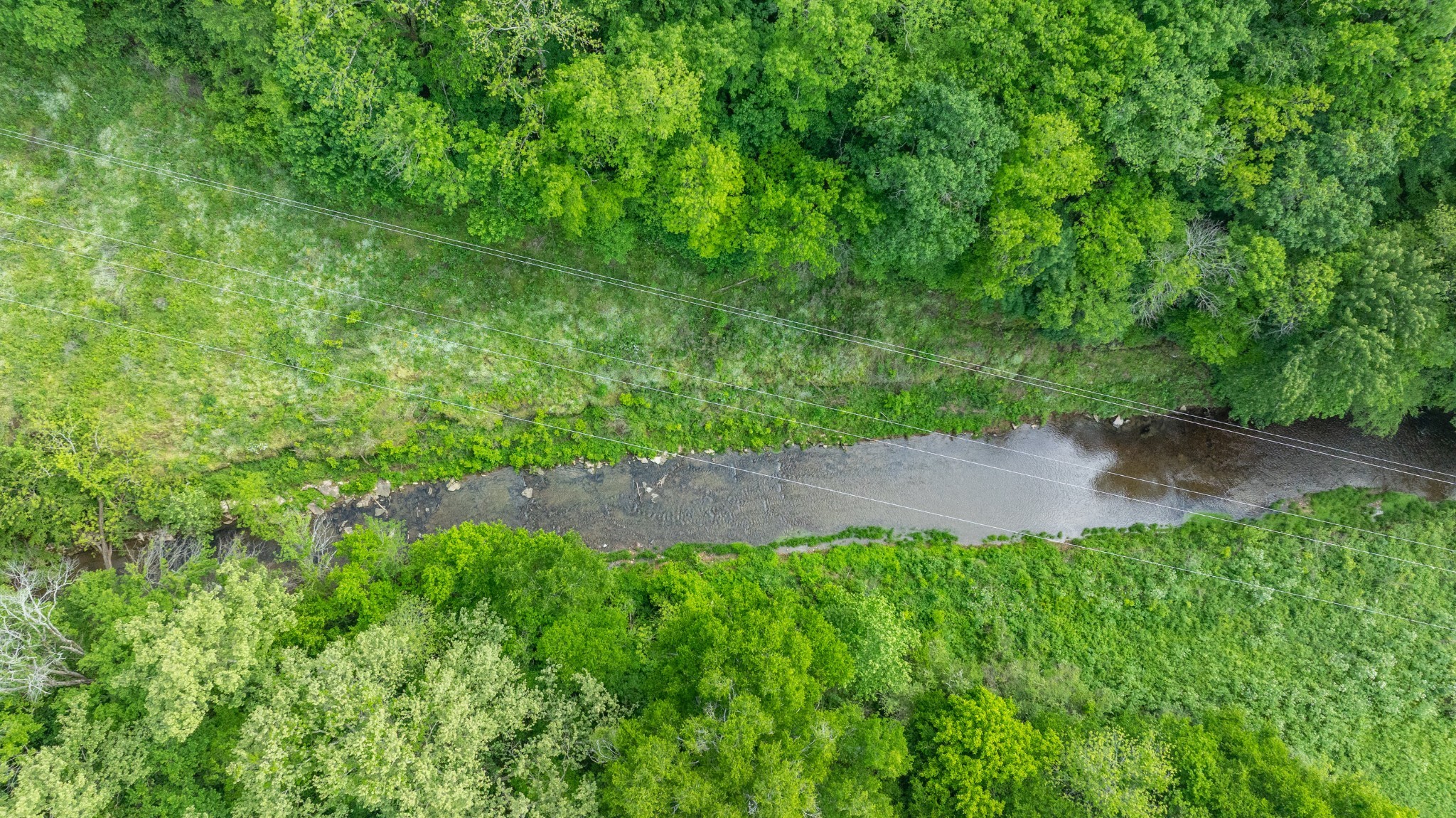 0 Snow Creek Road Santa Fe, TN 38482 - Photo 34 of 63 a view of a backyard