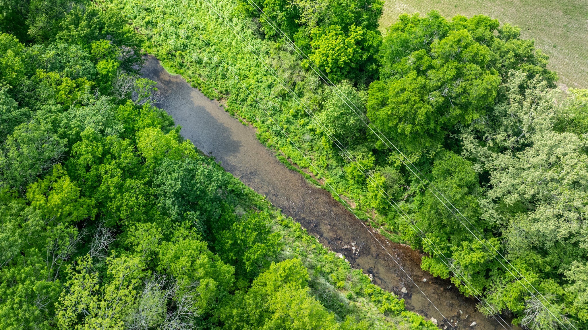 0 Snow Creek Road Santa Fe, TN 38482 - Photo 35 of 63