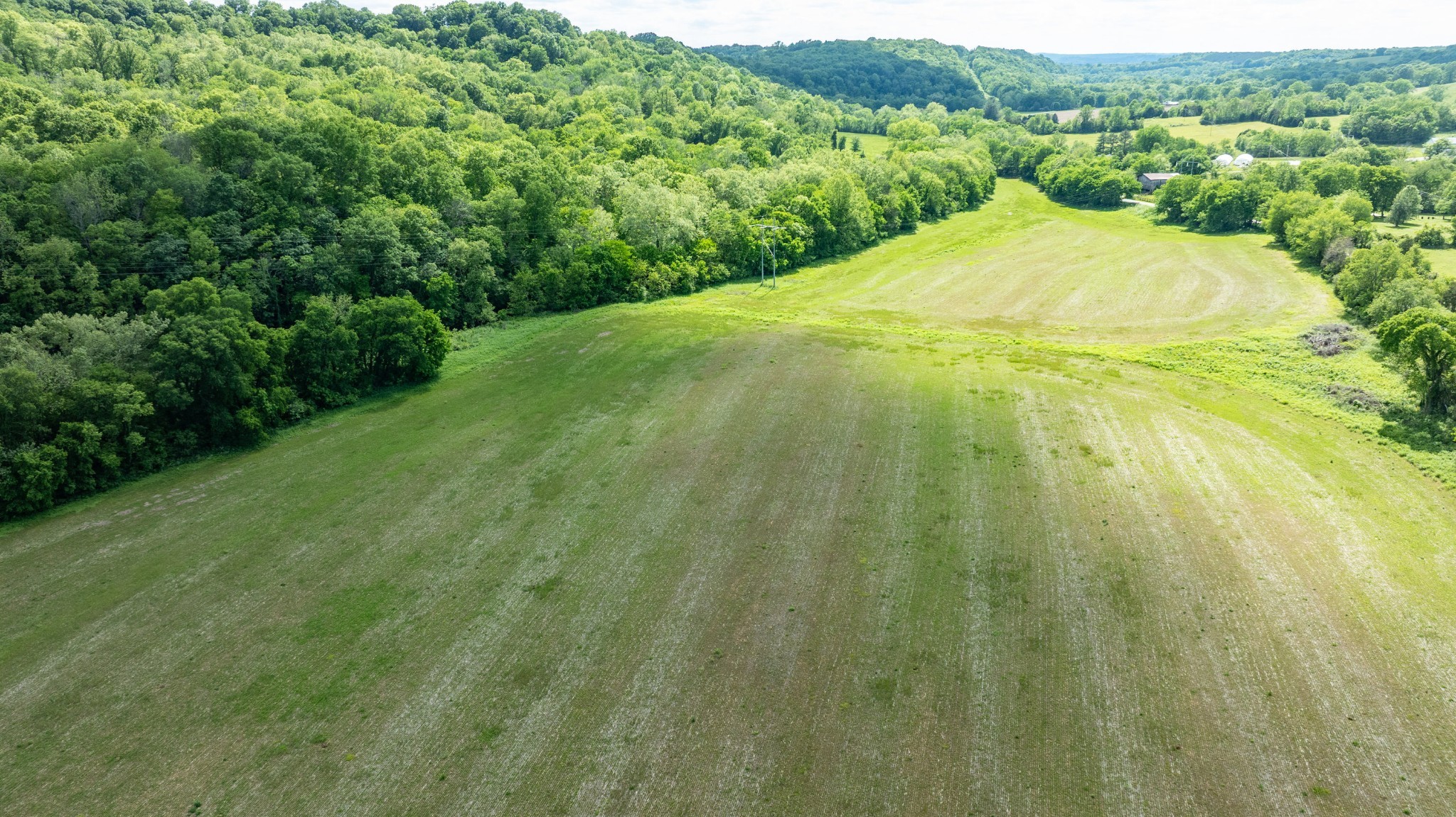 0 Snow Creek Road Santa Fe, TN 38482 - Photo 40 of 63 a view of a yard