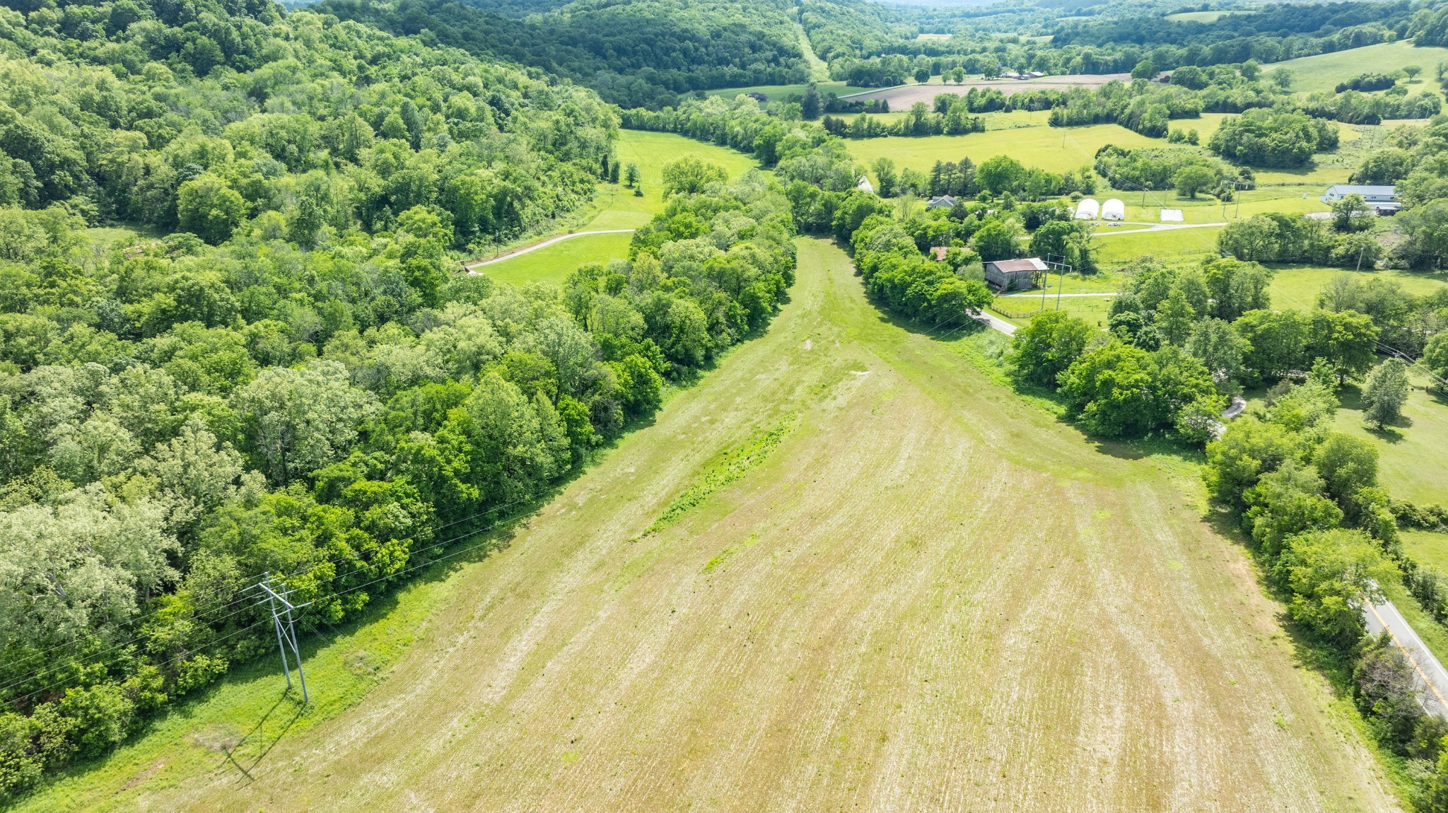 0 Snow Creek Road Santa Fe, TN 38482 - Photo 43 of 63 a view of a garden with a lake