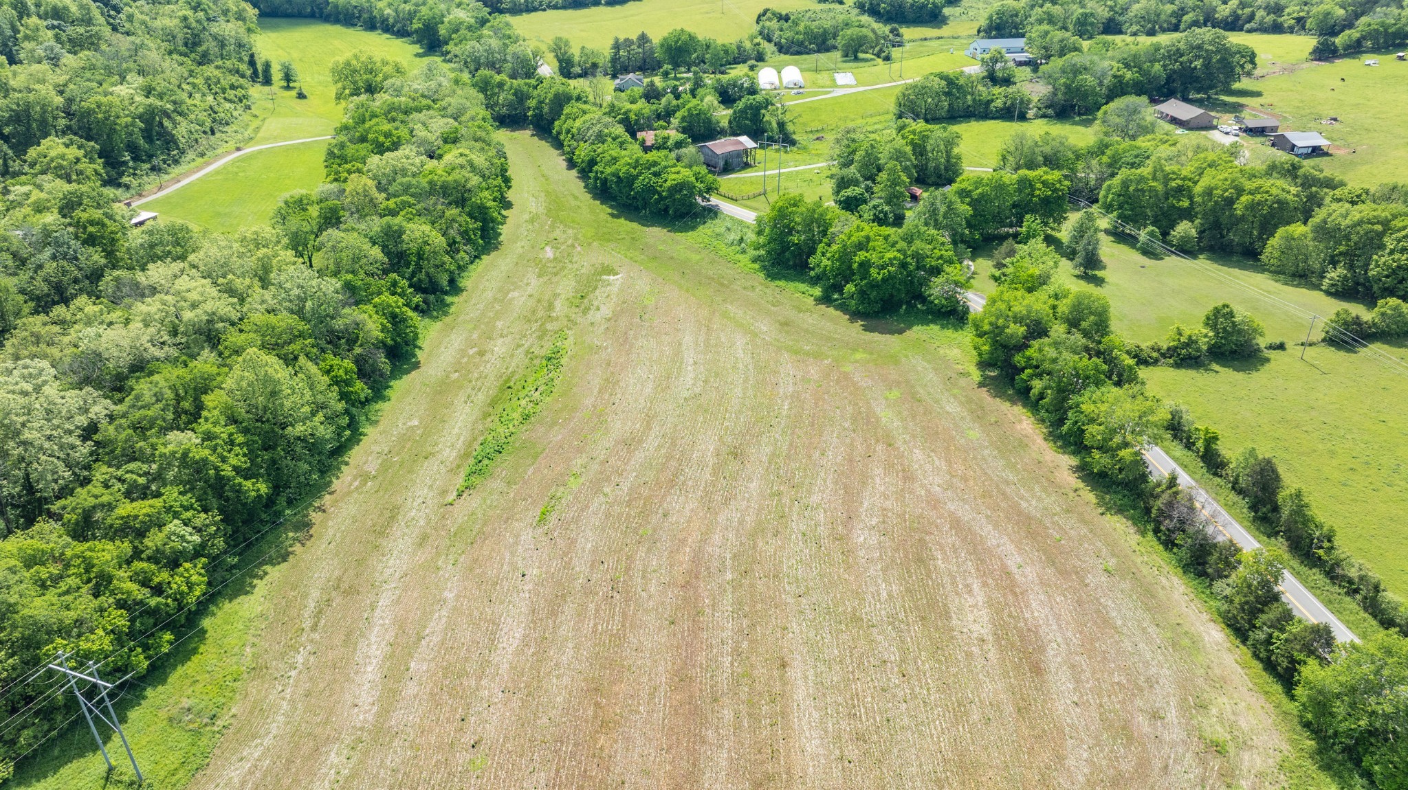 0 Snow Creek Road Santa Fe, TN 38482 - Photo 44 of 63 a view of a garden with a building