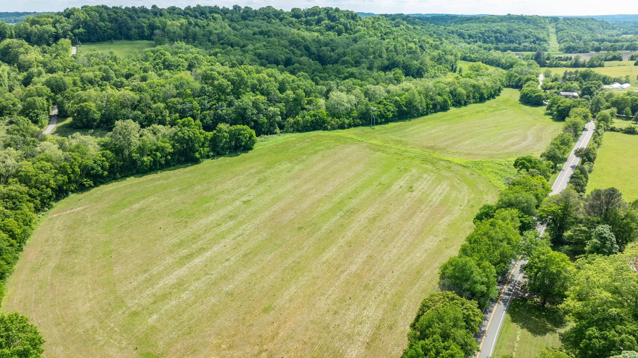 0 Snow Creek Road Santa Fe, TN 38482 - Photo 47 of 63 a view of a big yard with plants and large trees