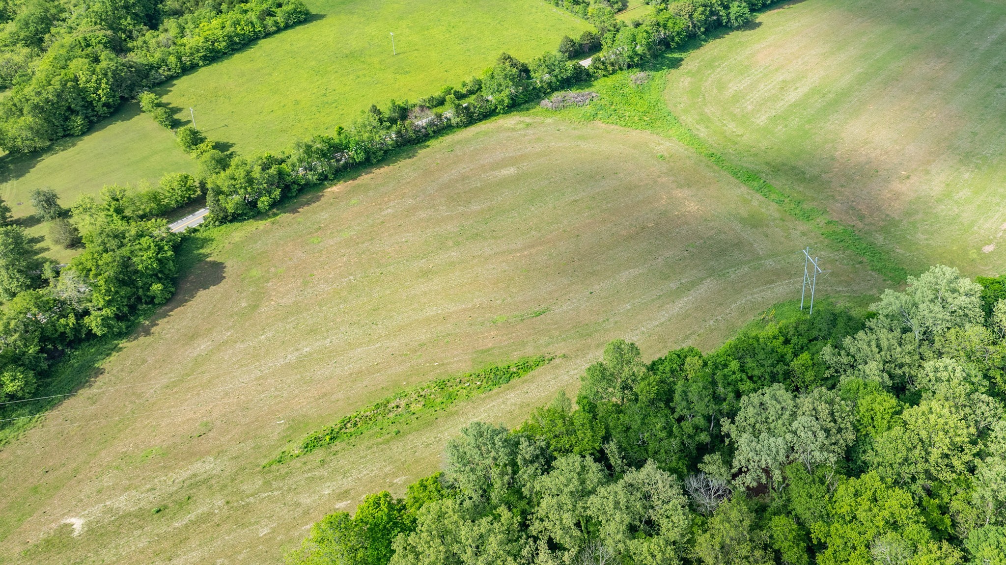 0 Snow Creek Road Santa Fe, TN 38482 - Photo 48 of 63 a view of a yard with a garden