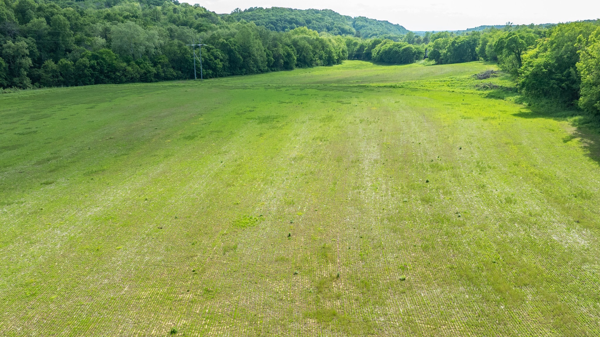 0 Snow Creek Road Santa Fe, TN 38482 - Photo 51 of 63 a view of a big yard with green space