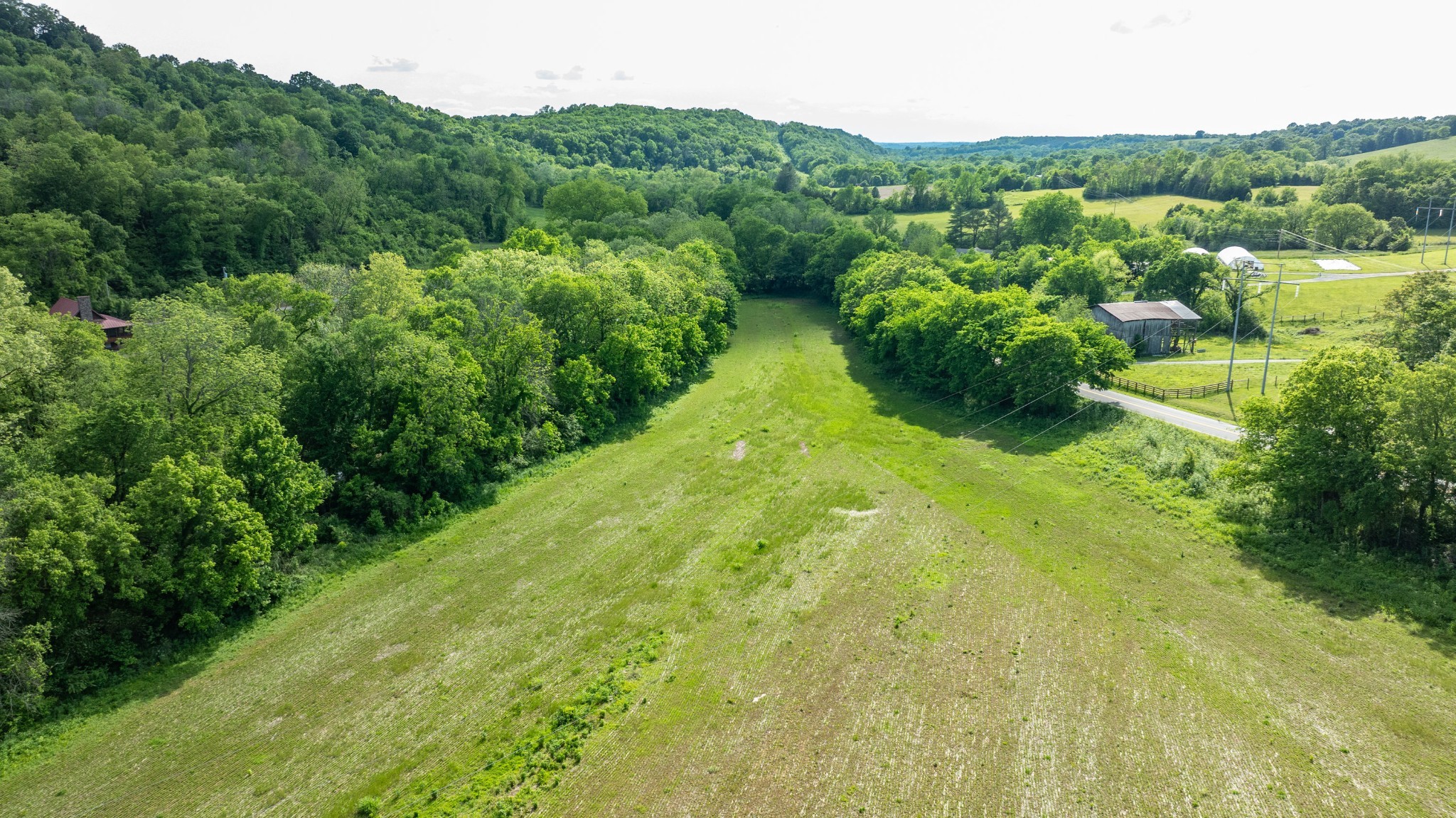 0 Snow Creek Road Santa Fe, TN 38482 - Photo 53 of 63 a view of a lush green forest with trees in the background