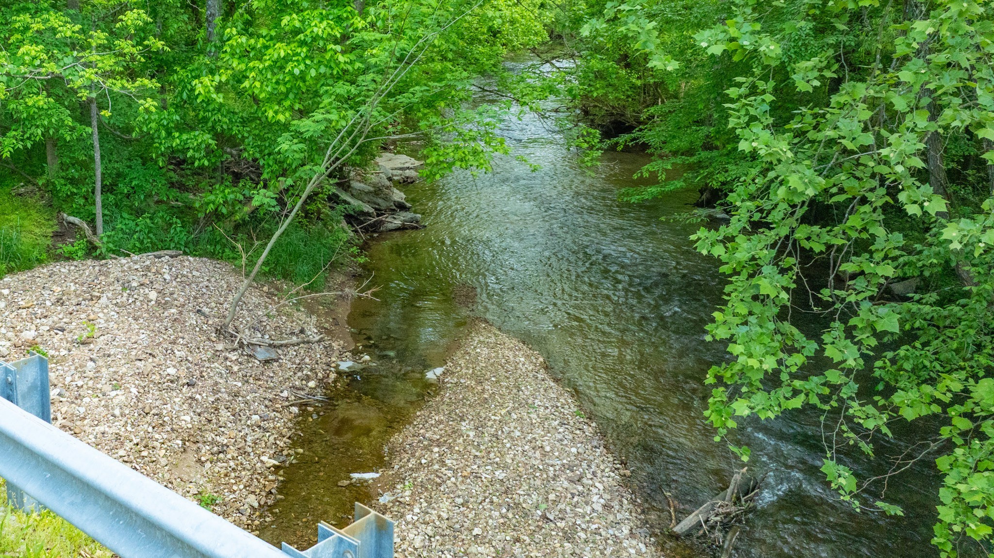 0 Snow Creek Road Santa Fe, TN 38482 - Photo 54 of 63 a view of a garden