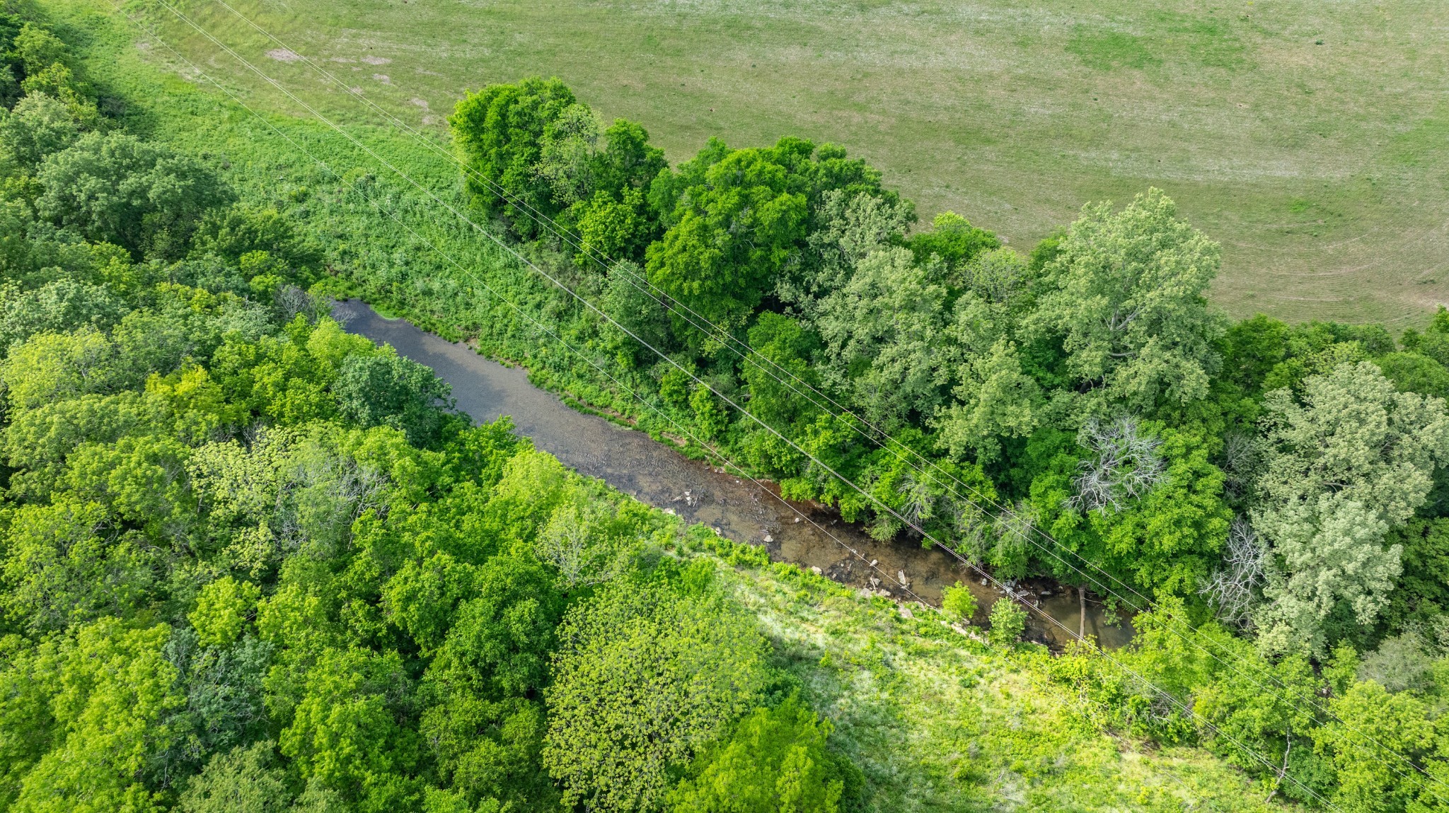 0 Snow Creek Road Santa Fe, TN 38482 - Photo 56 of 63 a backyard of a house with lots of green space