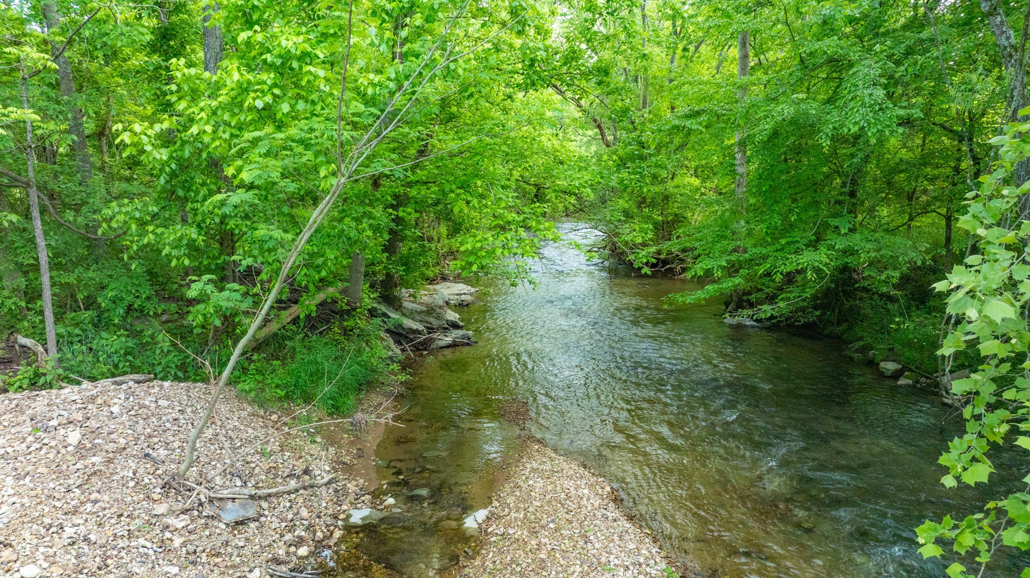 0 Snow Creek Road Santa Fe, TN 38482 - Photo 56 of 63