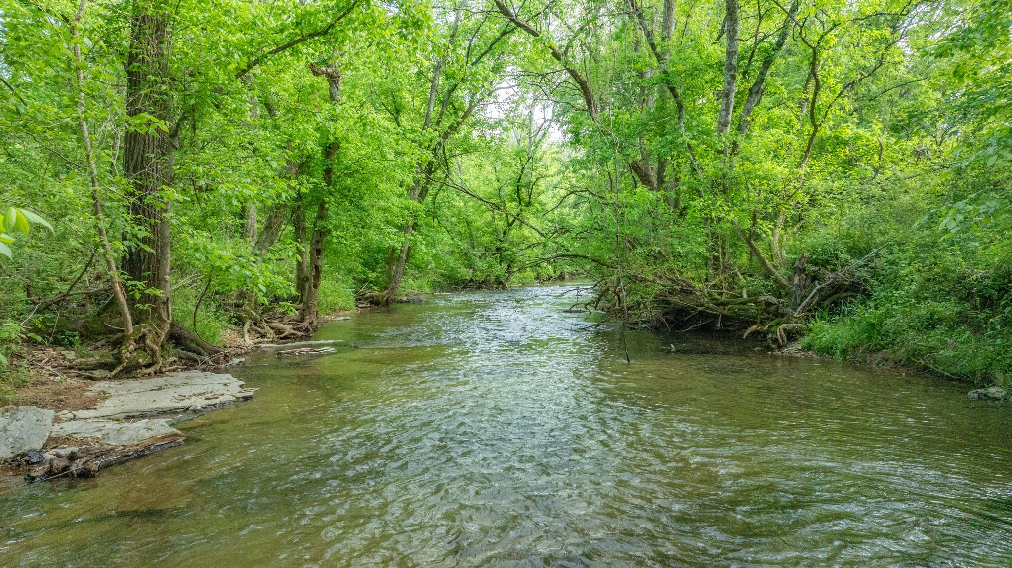 0 Snow Creek Road Santa Fe, TN 38482 - Photo 58 of 63