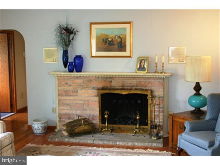 233 South Pleasantview Road Pottstown, PA 19464 - Photo 14 of 25 Fireplace