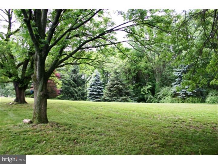 233 South Pleasantview Road Pottstown, PA 19464 - Photo 23 of 25 Back Yard