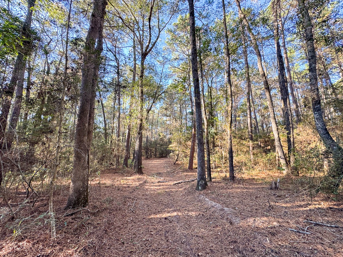 0 Big Woods Road New Waverly, TX 77358 - Photo 15 of 31