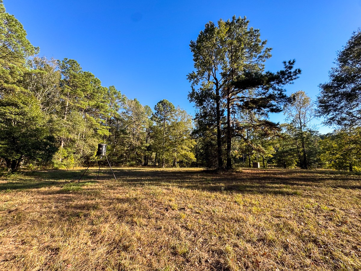 0 Big Woods Road New Waverly, TX 77358 - Photo 16 of 31