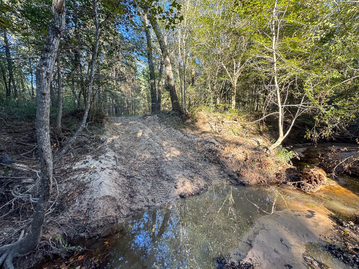 0 Big Woods Road New Waverly, TX 77358 - Photo 20 of 31