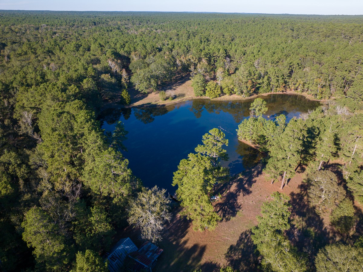 0 Big Woods Road New Waverly, TX 77358 - Photo 2 of 31