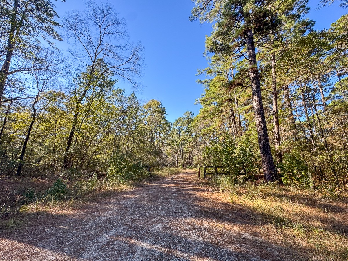 0 Big Woods Road New Waverly, TX 77358 - Photo 22 of 31