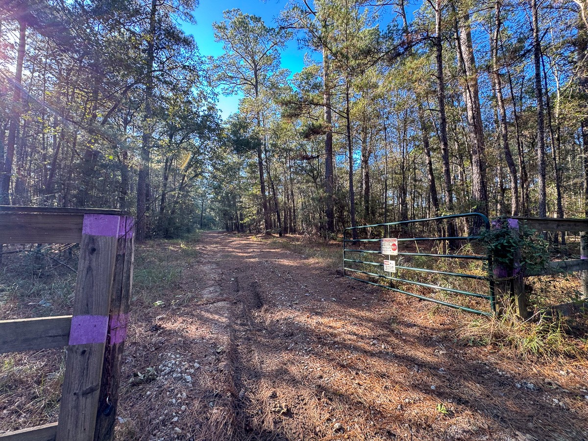 0 Big Woods Road New Waverly, TX 77358 - Photo 23 of 31