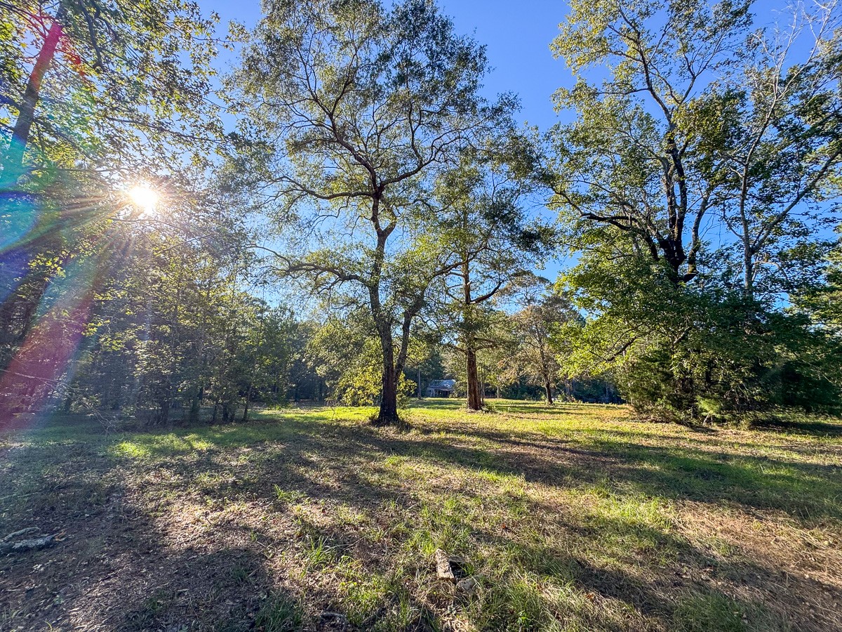 0 Big Woods Road New Waverly, TX 77358 - Photo 24 of 31