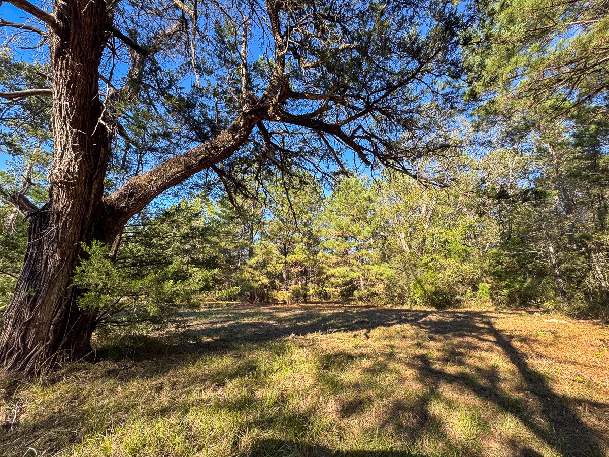 0 Big Woods Road New Waverly, TX 77358 - Photo 25 of 31
