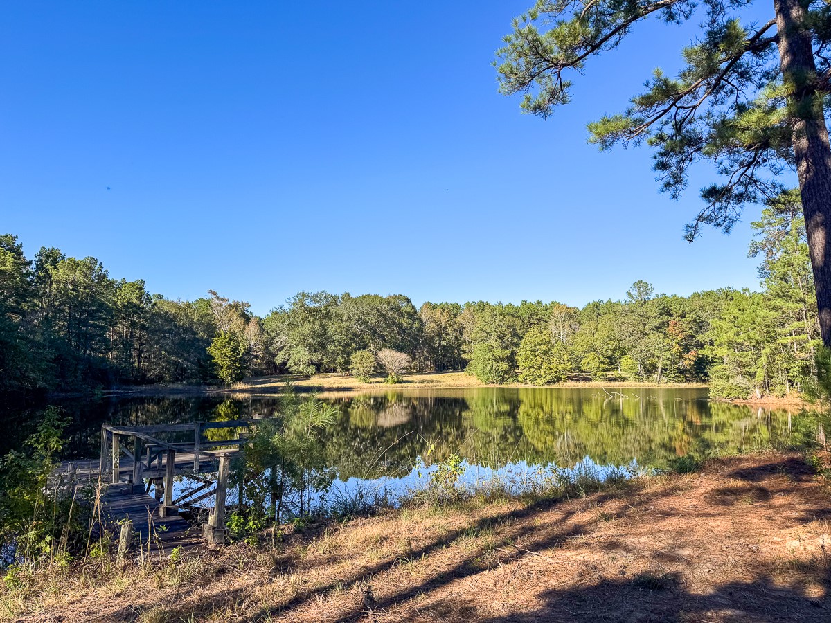 0 Big Woods Road New Waverly, TX 77358 - Photo 26 of 31