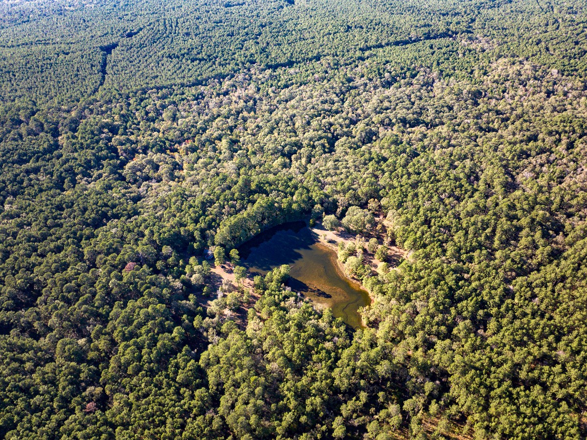 0 Big Woods Road New Waverly, TX 77358 - Photo 27 of 31