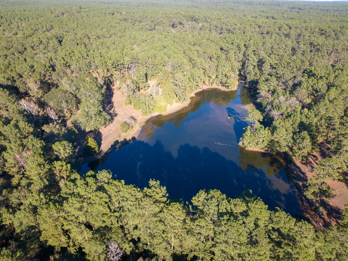 0 Big Woods Road New Waverly, TX 77358 - Photo 28 of 31