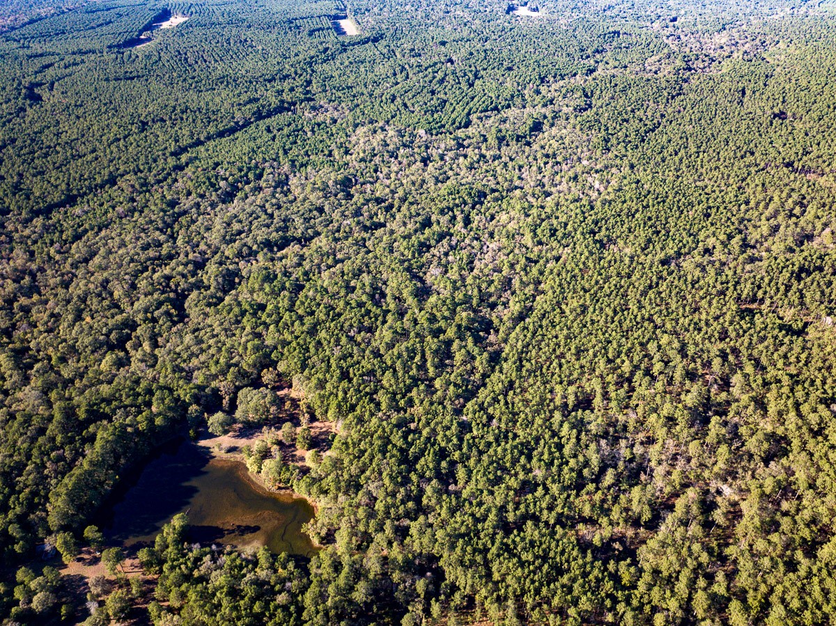 0 Big Woods Road New Waverly, TX 77358 - Photo 29 of 31