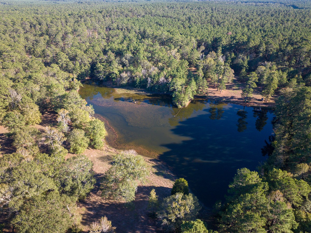 0 Big Woods Road New Waverly, TX 77358 - Photo 30 of 31