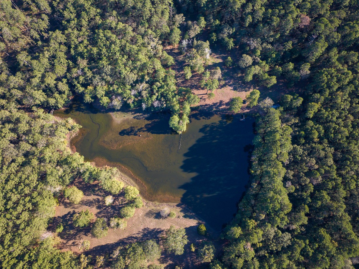 0 Big Woods Road New Waverly, TX 77358 - Photo 3 of 31