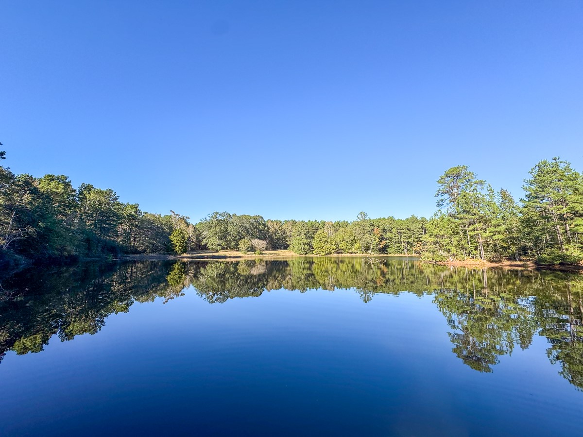 0 Big Woods Road New Waverly, TX 77358 - Photo 31 of 31