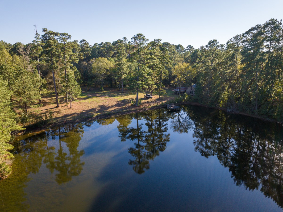 0 Big Woods Road New Waverly, TX 77358 - Photo 4 of 31