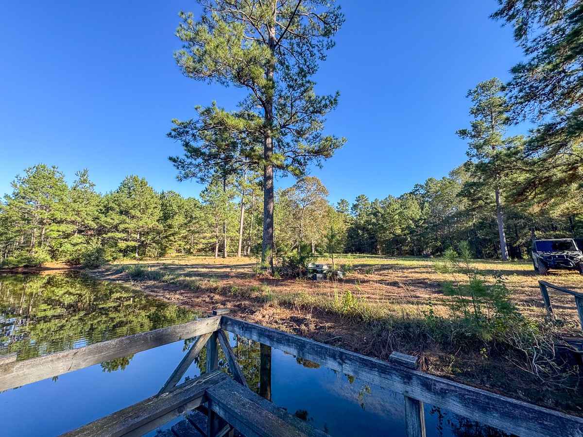 0 Big Woods Road New Waverly, TX 77358 - Photo 5 of 31