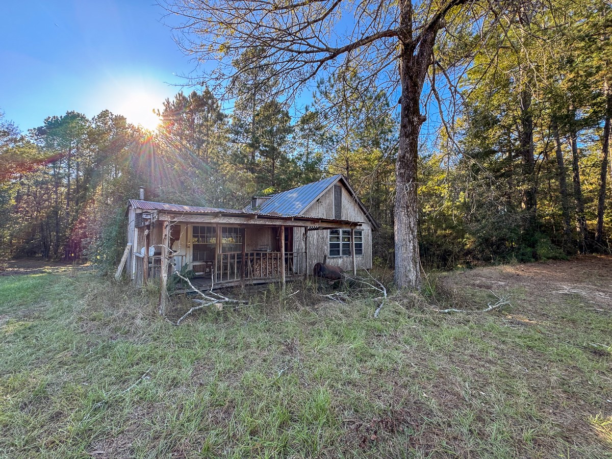 0 Big Woods Road New Waverly, TX 77358 - Photo 7 of 31