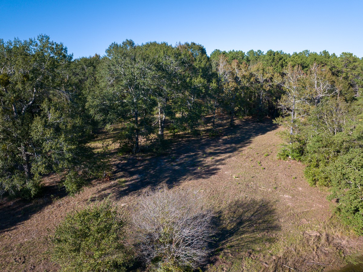0 Big Woods Road New Waverly, TX 77358 - Photo 8 of 31