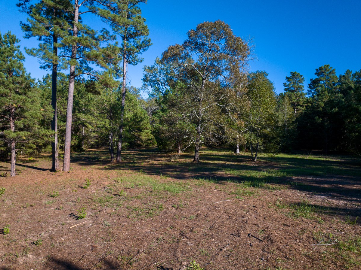 0 Big Woods Road New Waverly, TX 77358 - Photo 9 of 31