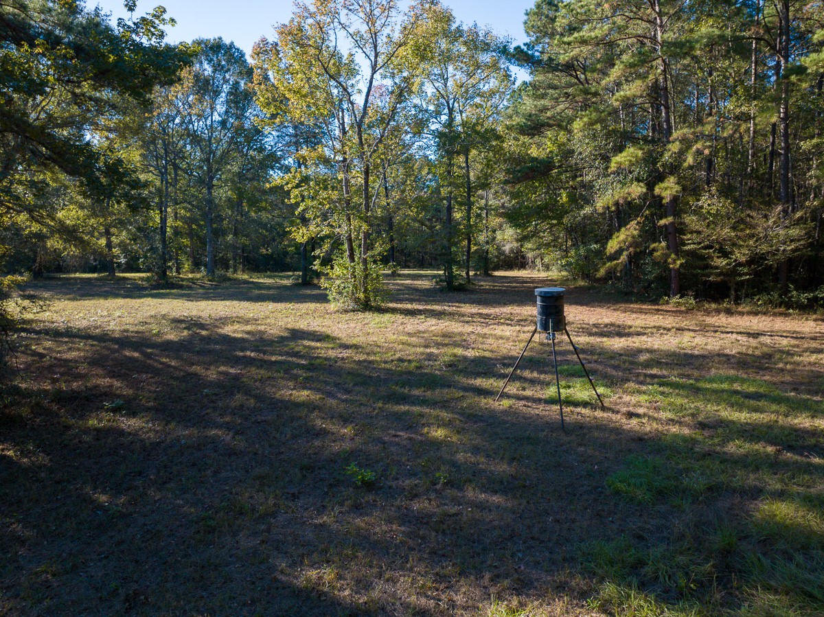 0 Big Woods Road New Waverly, TX 77358 - Photo 10 of 31