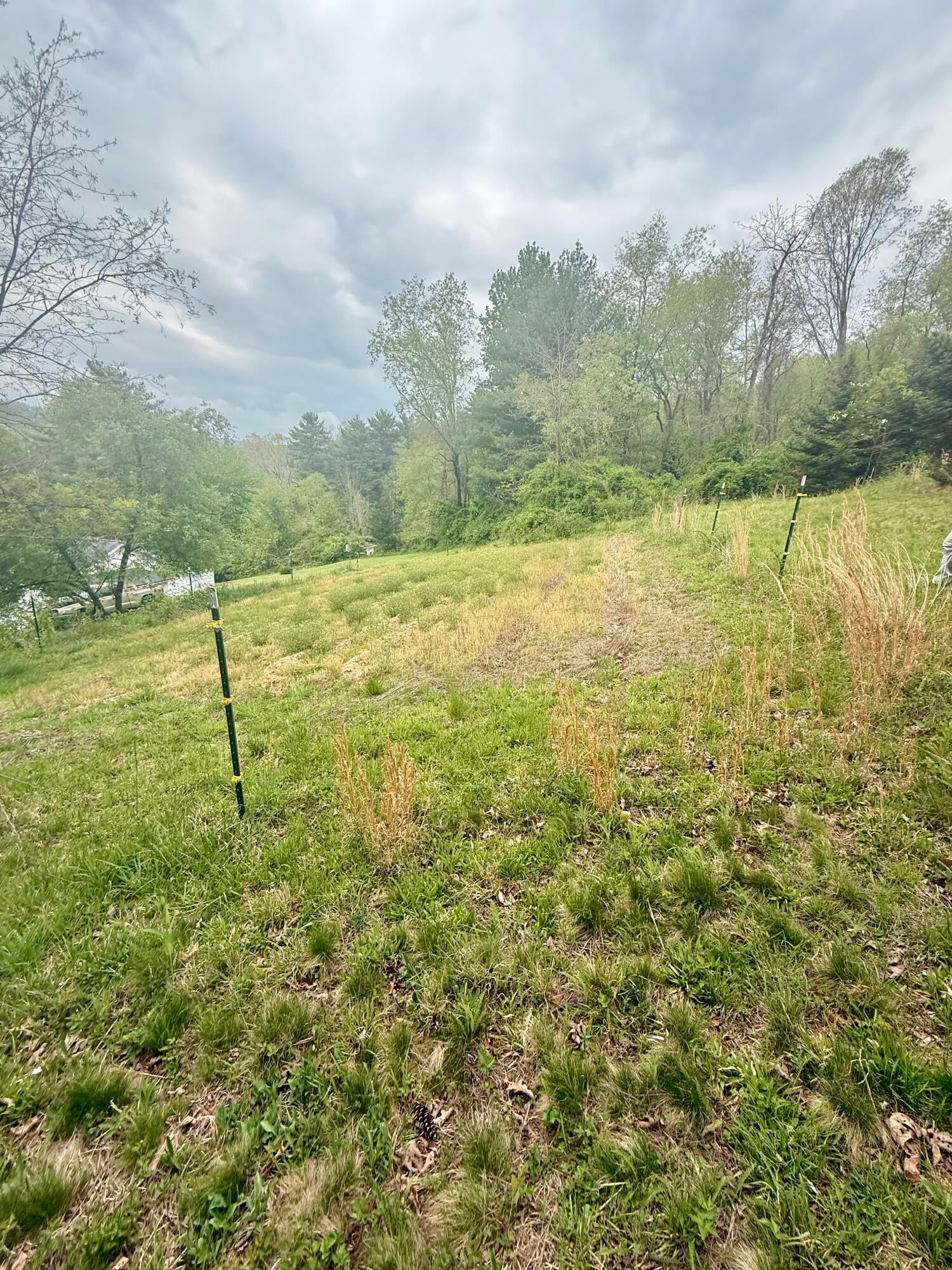 2770 Maple Acres Road Princeton, WV 24739 - Photo 31 of 46 IMG_2325