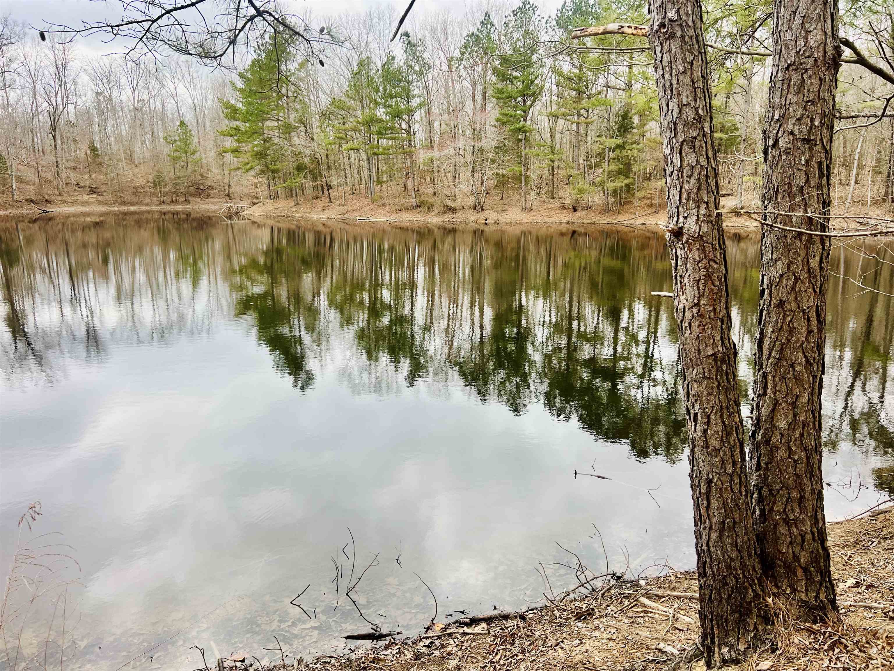 3990 Monk House Road Somerville, TN 38068 - Photo 3 of 20 a view of a large body of water with a building in the background