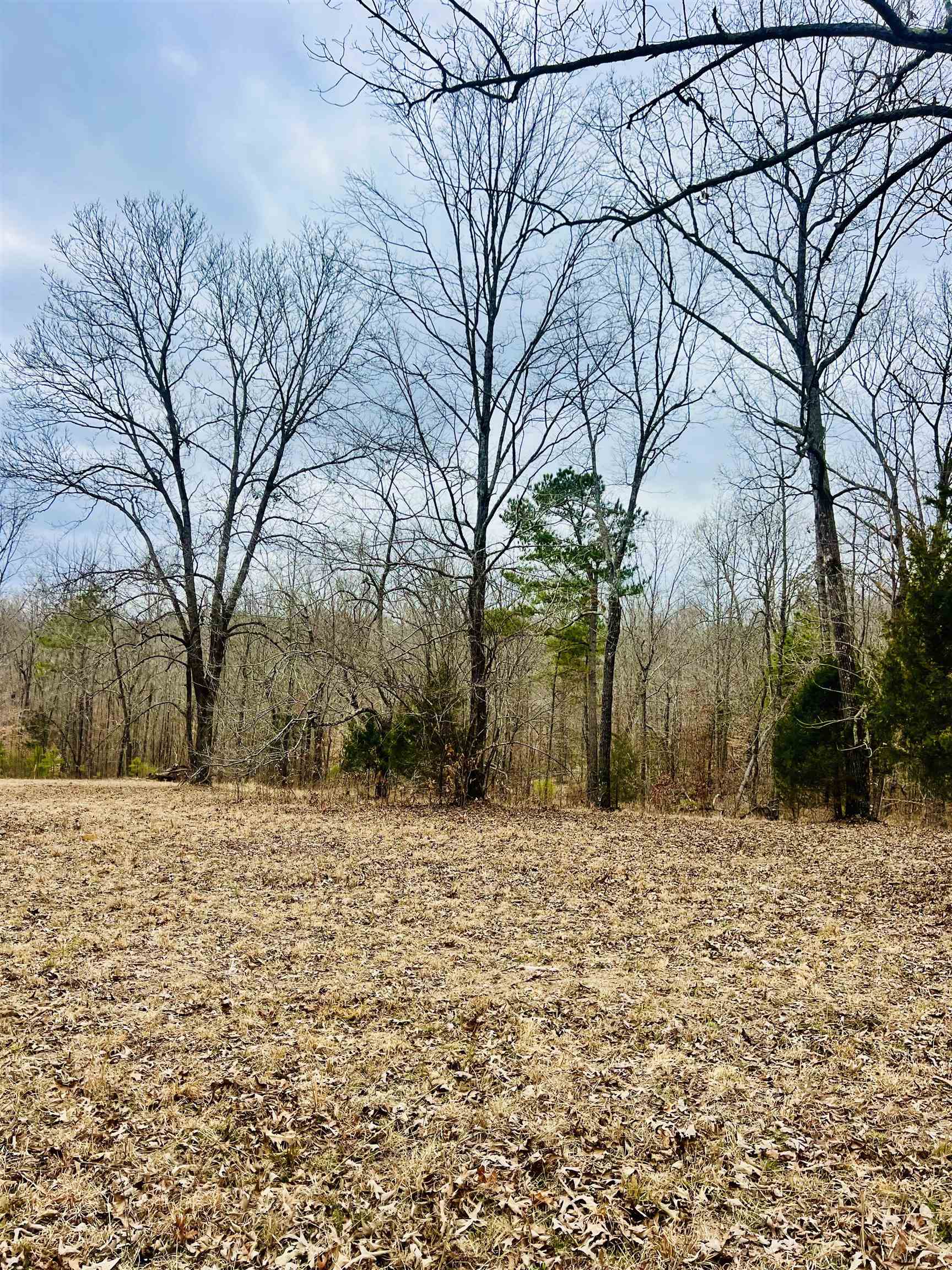 3990 Monk House Road Somerville, TN 38068 - Photo 7 of 20