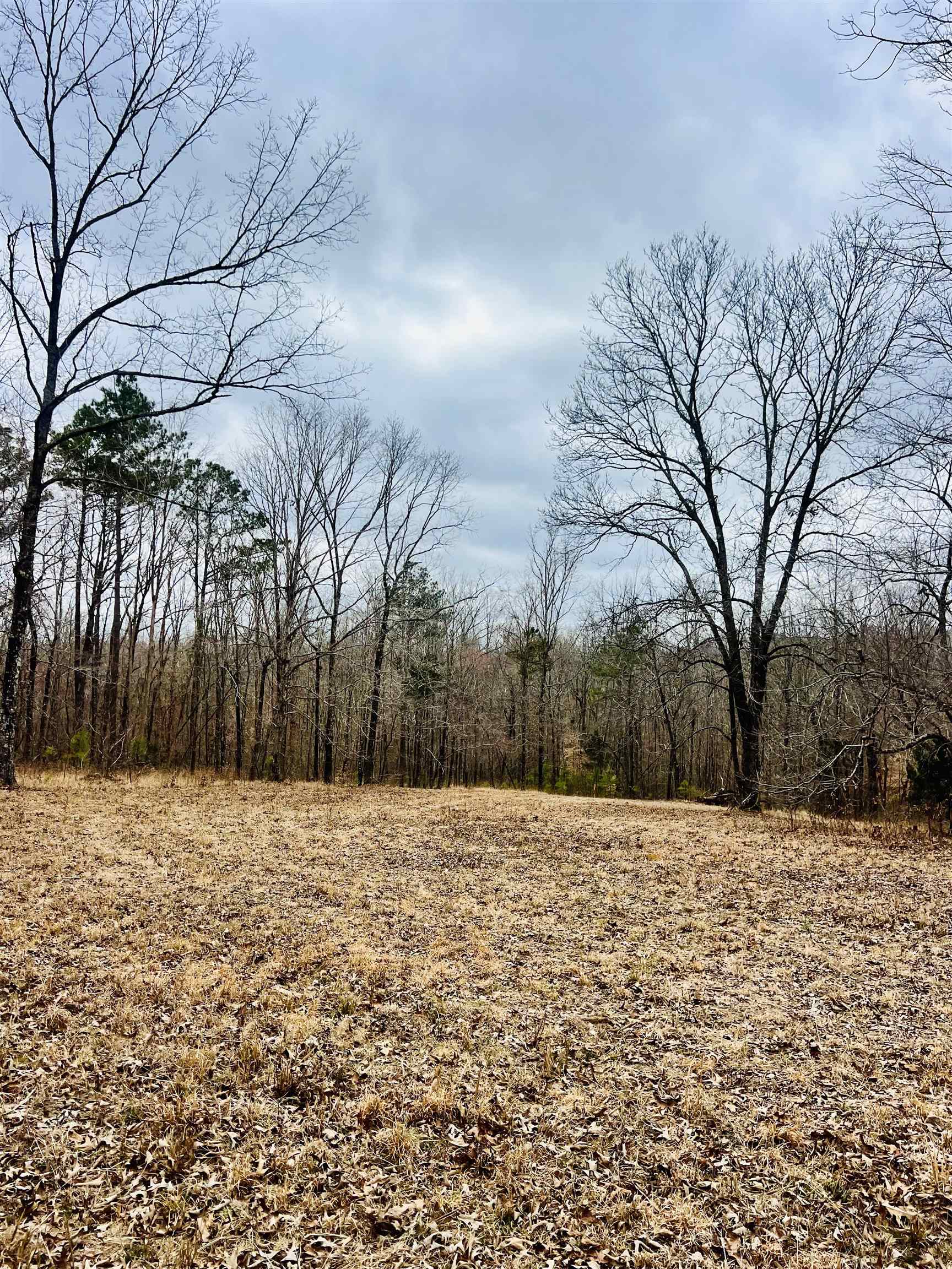 3990 Monk House Road Somerville, TN 38068 - Photo 9 of 20 a view of white house with a yard