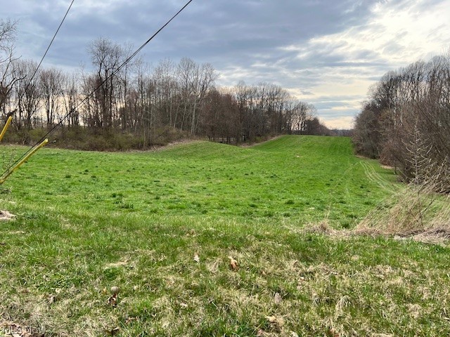 Schroeder Road Mogadore, OH 44260 - Photo 1 of 9 View of yard