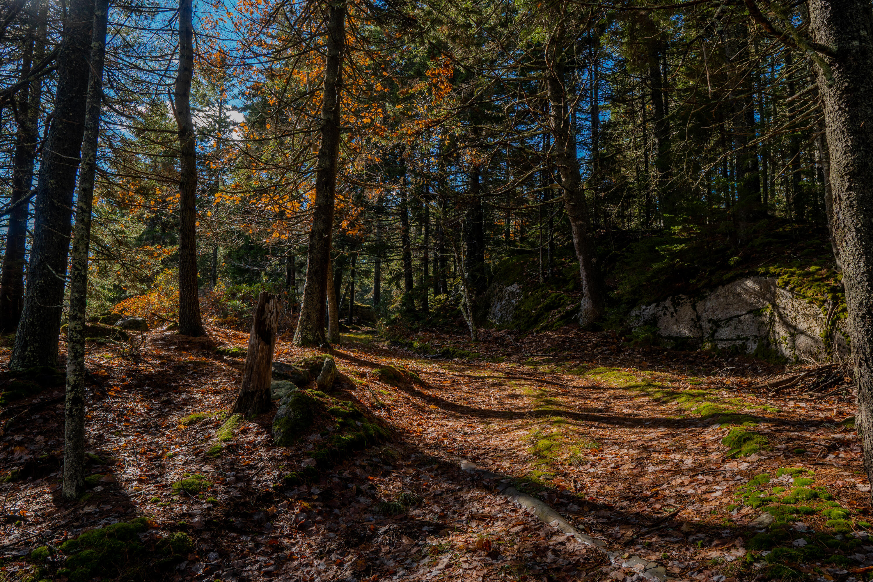 268 West Point Road Phippsburg, ME 04562 - Photo 33 of 63 268 West Point Road Phippsburg 033