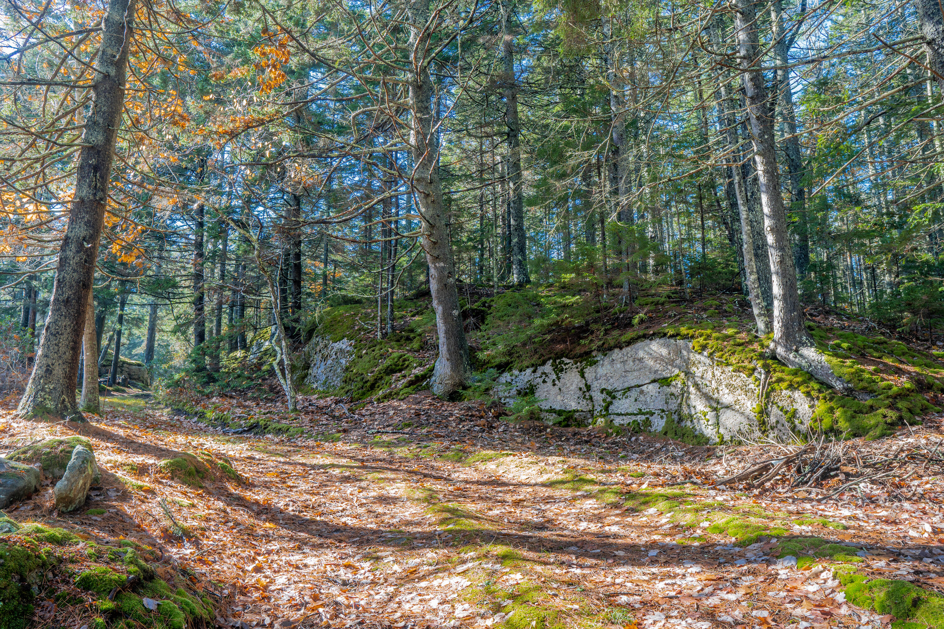 268 West Point Road Phippsburg, ME 04562 - Photo 34 of 63 268 West Point Road Phippsburg 034