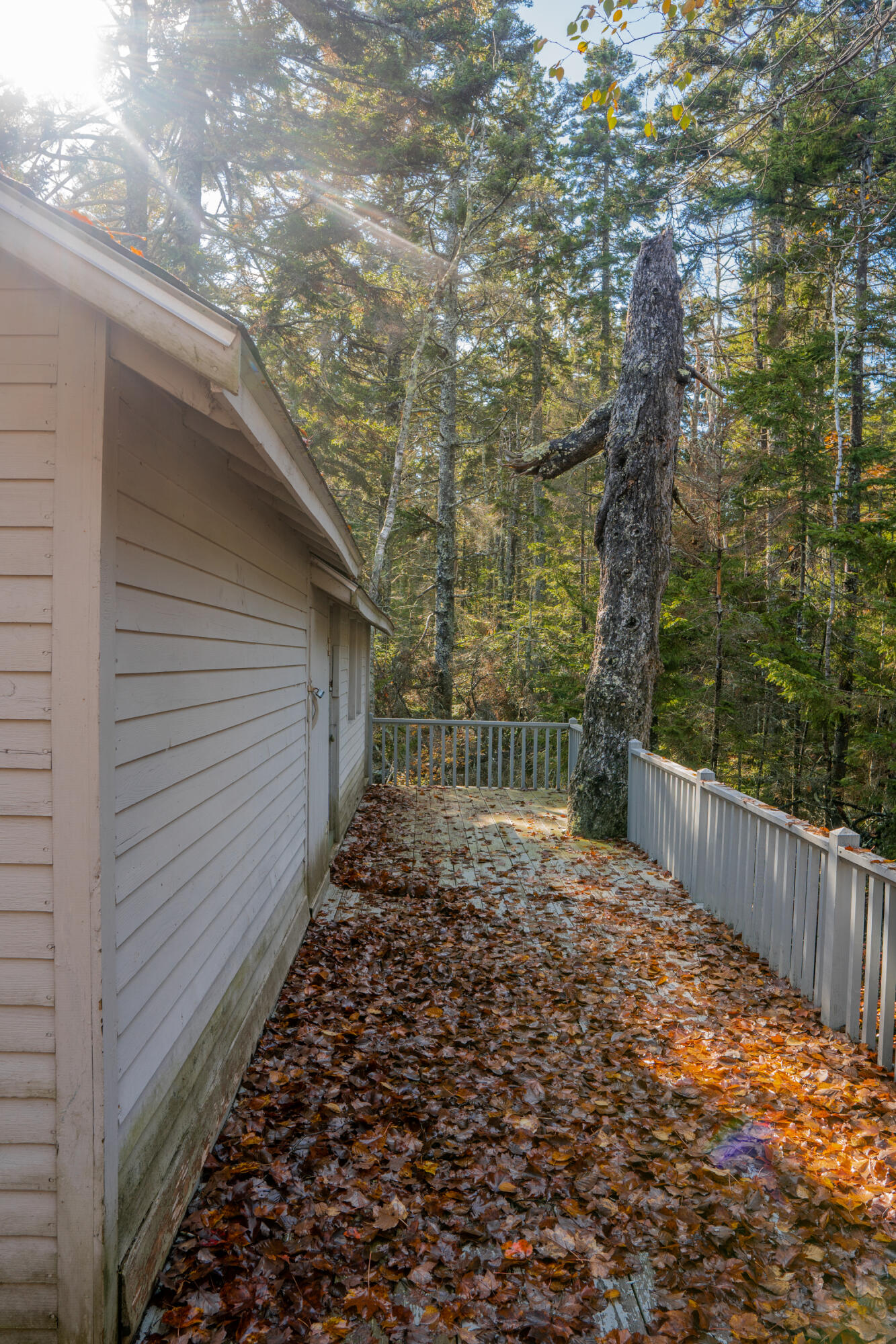 268 West Point Road Phippsburg, ME 04562 - Photo 38 of 63 268 West Point Road Phippsburg 038